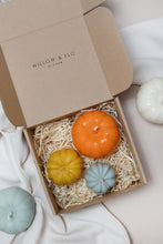 Load image into Gallery viewer, Small Pumpkins