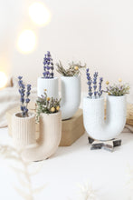 Load image into Gallery viewer, U-shaped Vase