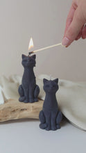 Load and play video in Gallery viewer, Black Cat
